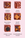 October Choose your Flavour!